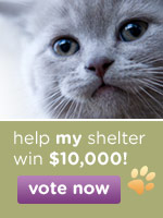 Vote for Robyn's Nest