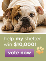 Vote for Robyn's Nest
