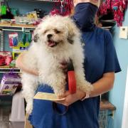 large_Andrea before groom.jpg