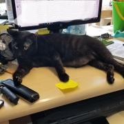 large_Norman at work aug 2020.jpg