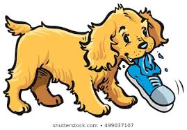 cartoon dog and shoe_0.jpg