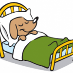 large_dog in bed_1.png