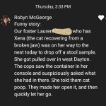 Robyns Nest funny story.jpg