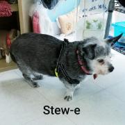 large_robynsnest Stew-e.jpg