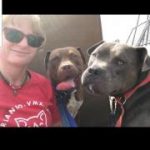 large_robyn, brownie and babe.jpg